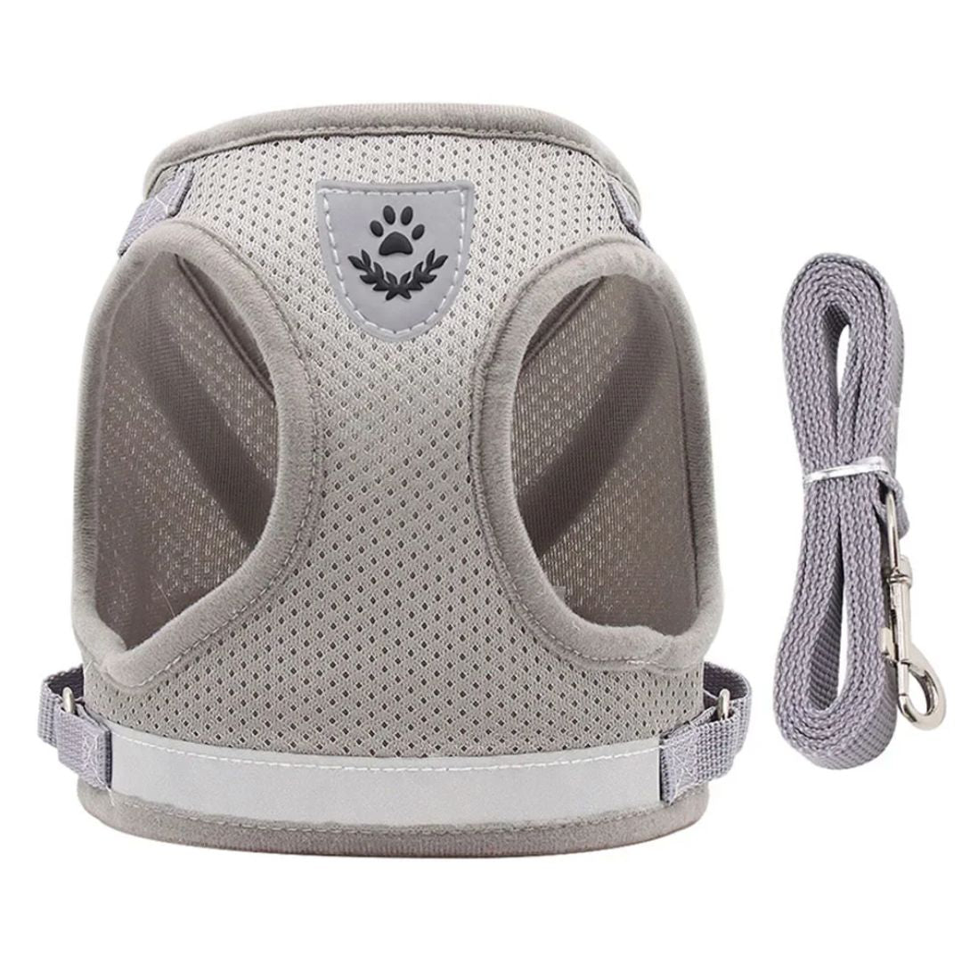 Arnés para gatos – GAT – La Forma Más Segura y Cómoda de Pasear a tu Gato