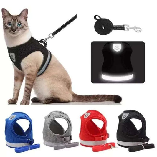 Arnés para gatos – GAT – La Forma Más Segura y Cómoda de Pasear a tu Gato