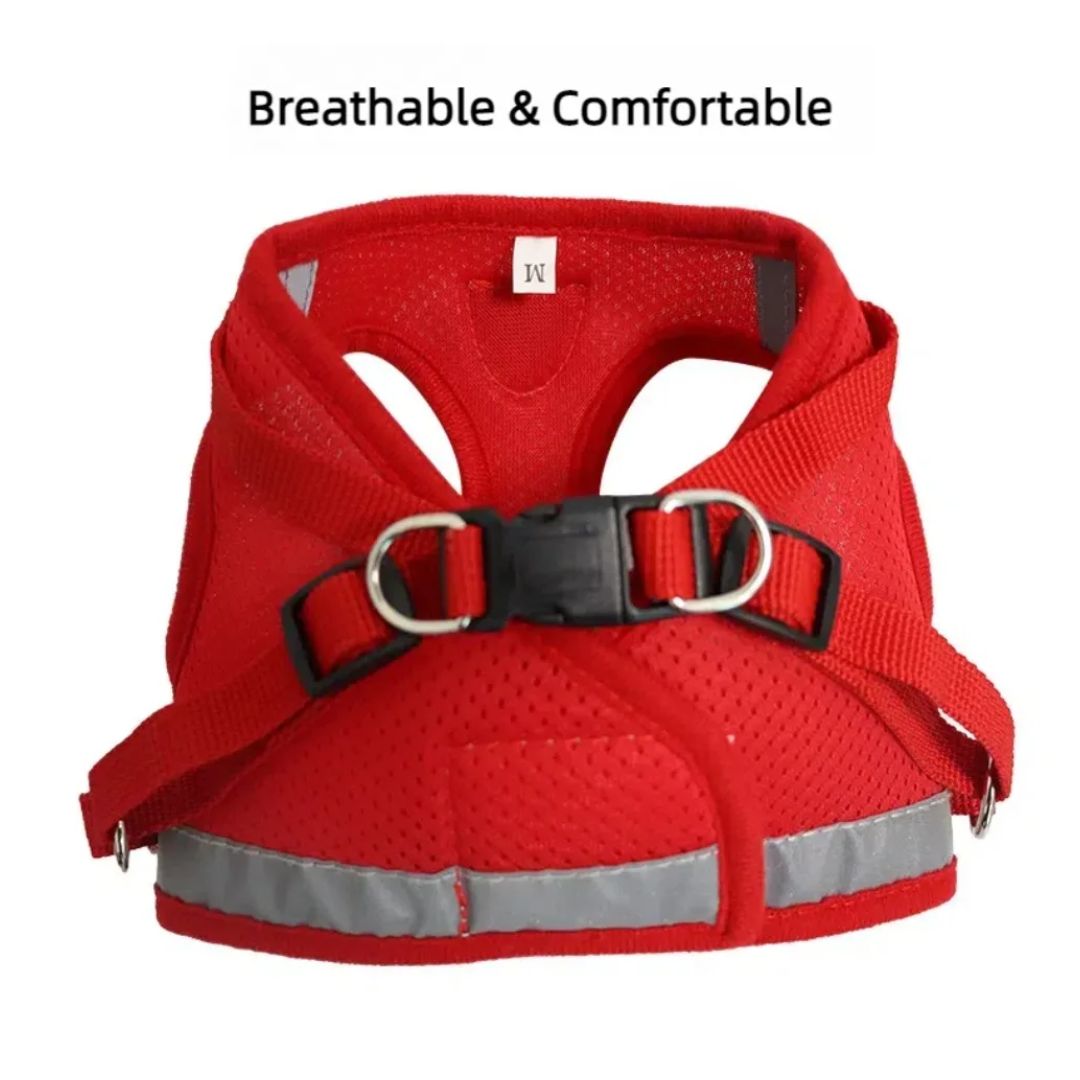 Arnés para gatos – GAT – La Forma Más Segura y Cómoda de Pasear a tu Gato