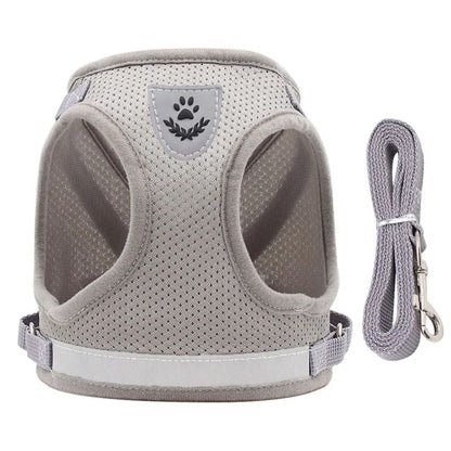 Arnés para gatos – GAT – La Forma Más Segura y Cómoda de Pasear a tu Gato