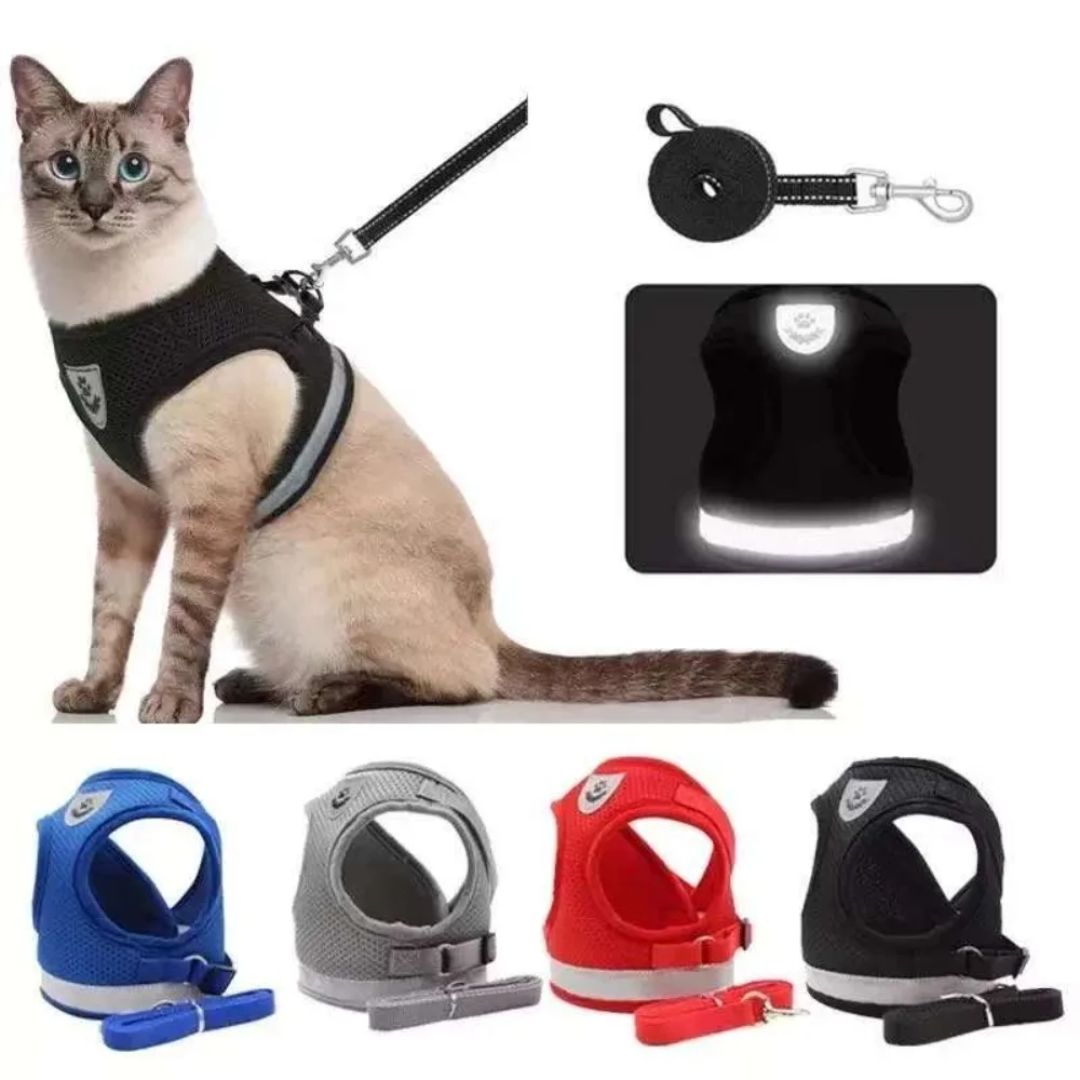 Arnés para gatos – GAT – La Forma Más Segura y Cómoda de Pasear a tu Gato