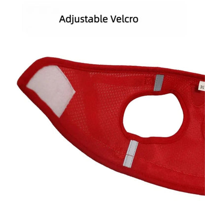 Arnés para gatos – GAT – La Forma Más Segura y Cómoda de Pasear a tu Gato