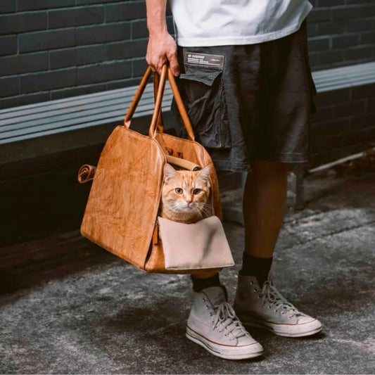 Persona llevando bolso transportín con gato para viajes urbanos.
Person carrying a cat travel shoulder bag for urban adventures.
Person trägt eine Katzentragetasche für urbane Abenteuer.