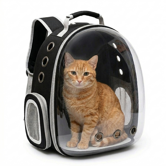 Orange cat sitting comfortably inside GAT Urban Carrier Calm Mesh transparent backpack