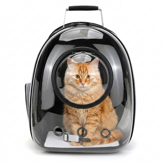 GAT Urban Carrier – City View