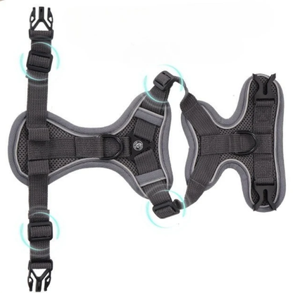 Cat wearing GAT Explorer Harness outdoors in the park – Safe and comfortable for walks