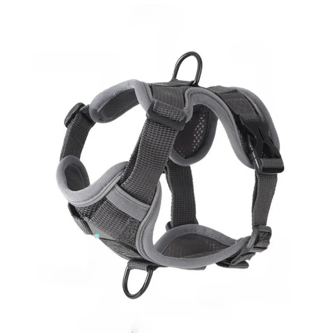 GAT Explorer Cat Harness – Escape-proof adjustable harness for adventure cats