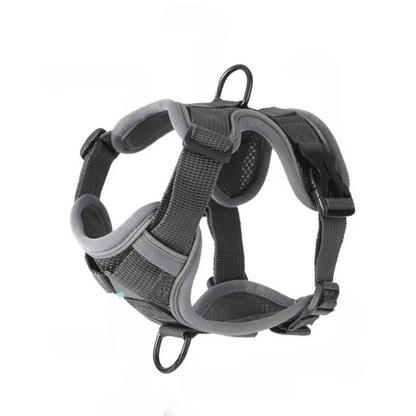 GAT Explorer Cat Harness – Escape-proof adjustable harness for adventure cats