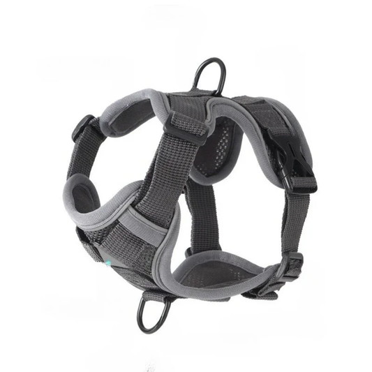 GAT Explorer Cat Harness – Escape-proof adjustable harness for adventure cats
