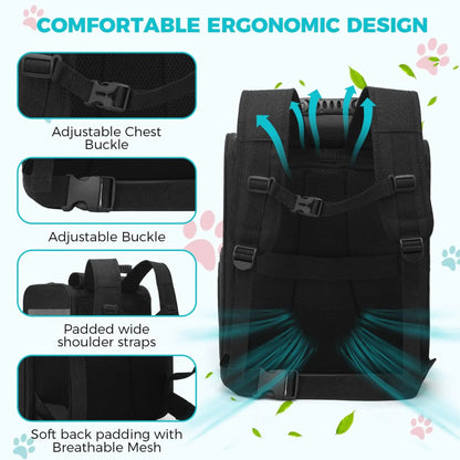 GAT Explorer backpack ergonomic padded straps and structure infographic