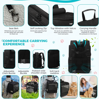 GAT Explorer cat backpack outdoor use collage showing features and carrying options