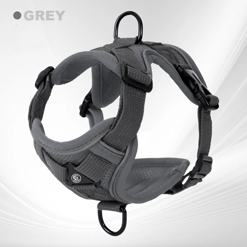 GAT Explorer Cat Harness in Grey – Adjustable escape-proof harness for outdoor cats
