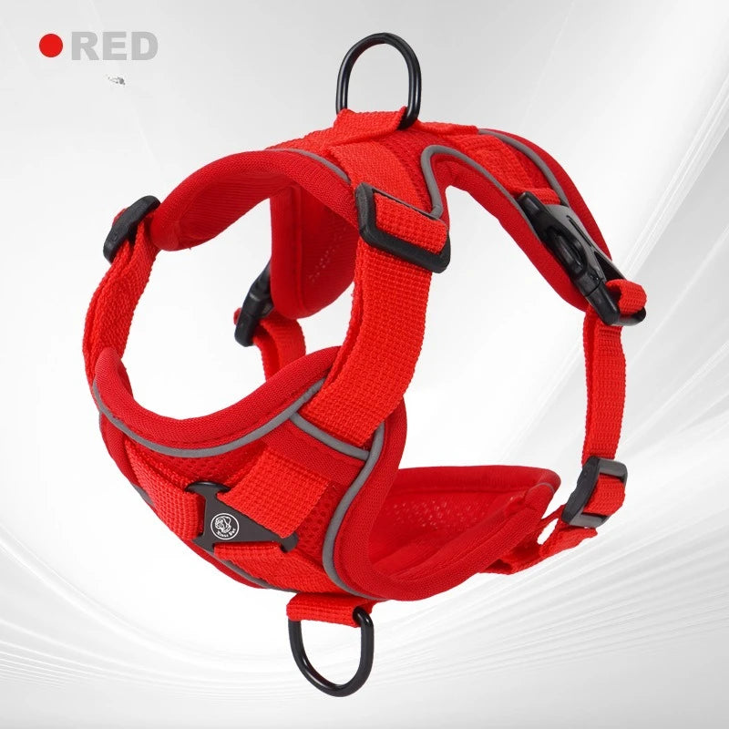 GAT Explorer Cat Harness size guide – Available in S, M, L, XL for all cat breeds