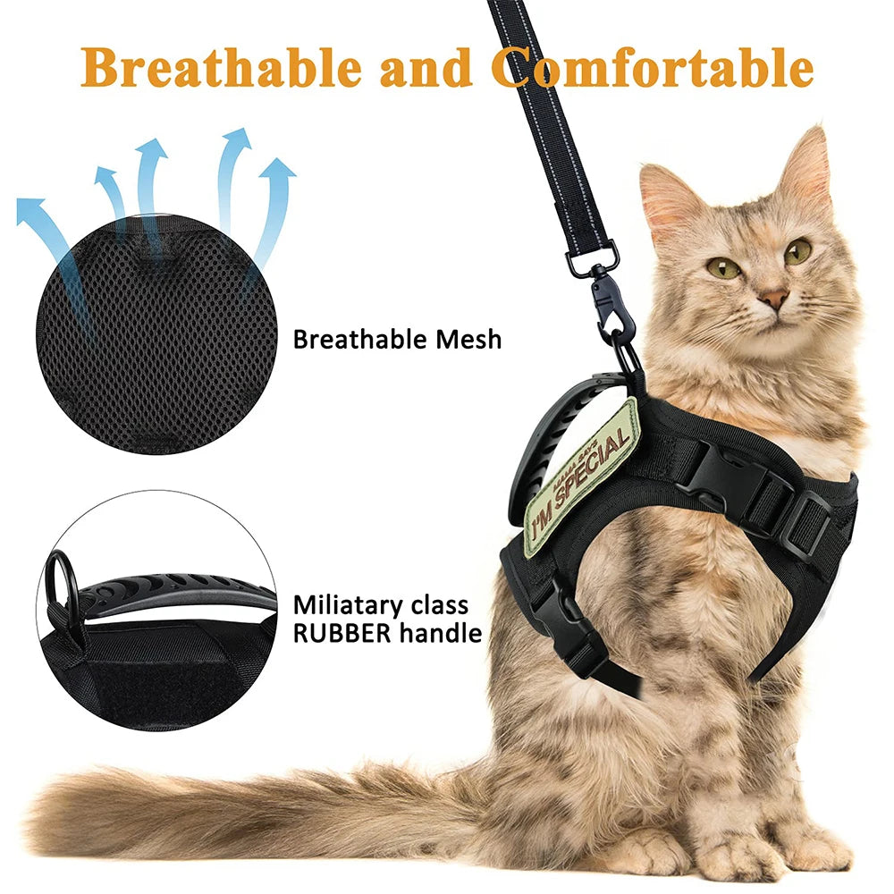 GAT Tactical Cat Harness leash attachment detail – secure D-ring for safe outdoor walks